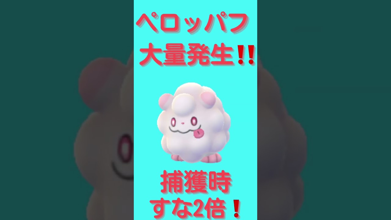本日のスポットライトアワーはペロッパフ❗️