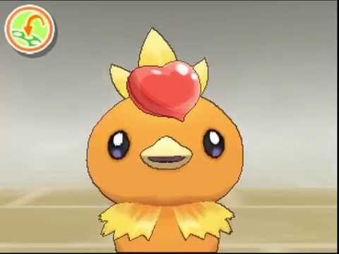 ポケリフレ　アチャモと戯れるだけの動画