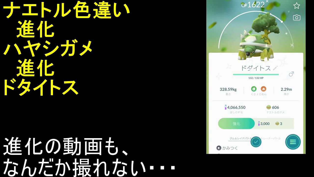 色違いナエトル進化ハヤシガメ進化ドタイトス【ポケモンGO】