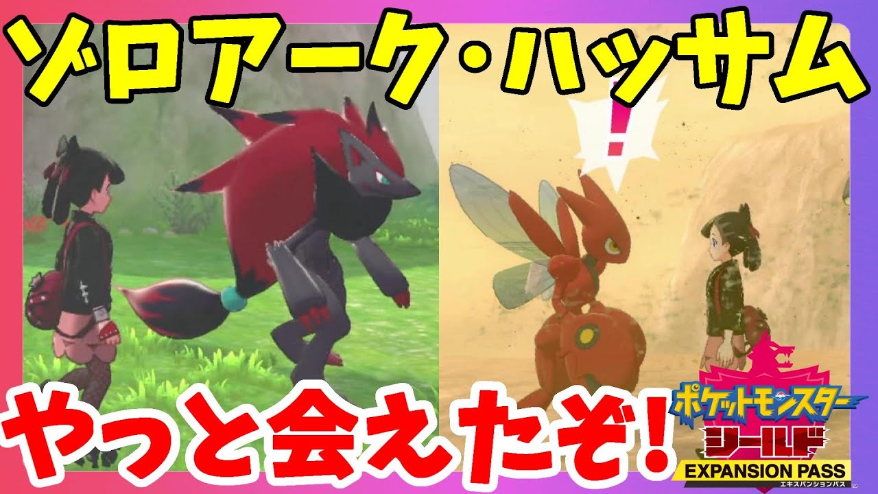 【ポケモンソードシールド】ゾロアーク！ハッサム！ついに出会えた奇跡の天気！鎧の孤島【エキスパンションパス第1弾】
