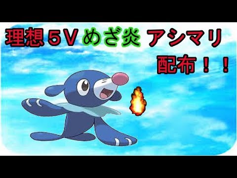 【ポケモン】理想めざ炎アシマリ配布【ウルトラサン　ウルトラムーン】