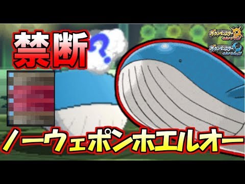 “友達がいなくなる”禁断の技構成のホエルオーを使います【ポケモンUSUM】