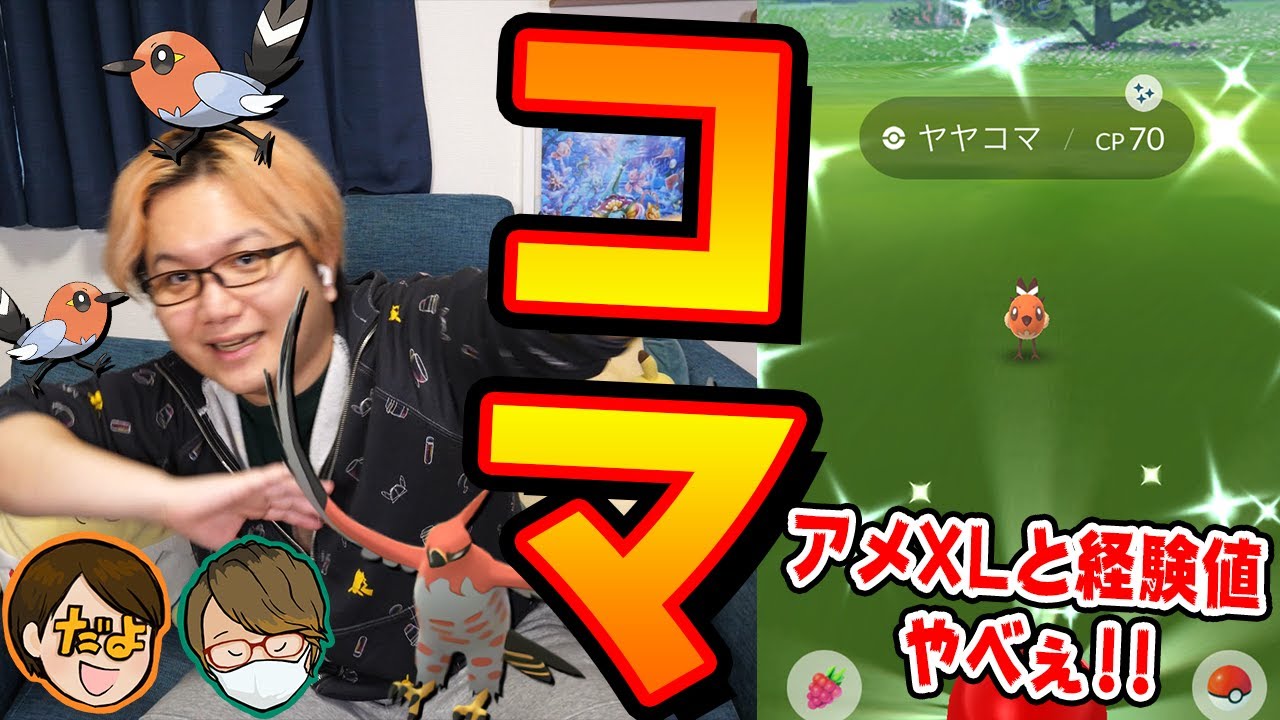 うんめぇぇぇ!!ヤヤコマコミュニティデイでファイアロー厳選しつつ色違い数勝負!!!今年は一味違うぞぉ!!!!【ポケモンGO】