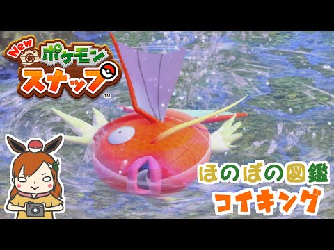 【コイキング】これが最弱王の生き方！ほのぼの図鑑！【Newポケモンスナップ】＃shorts