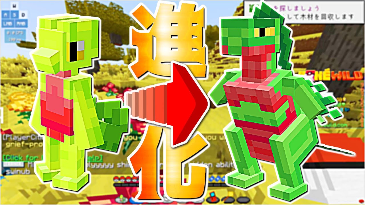 【マイクラ】ポケモンサーバーでキモリを進化させてみたい！！ポケワイルドPart2