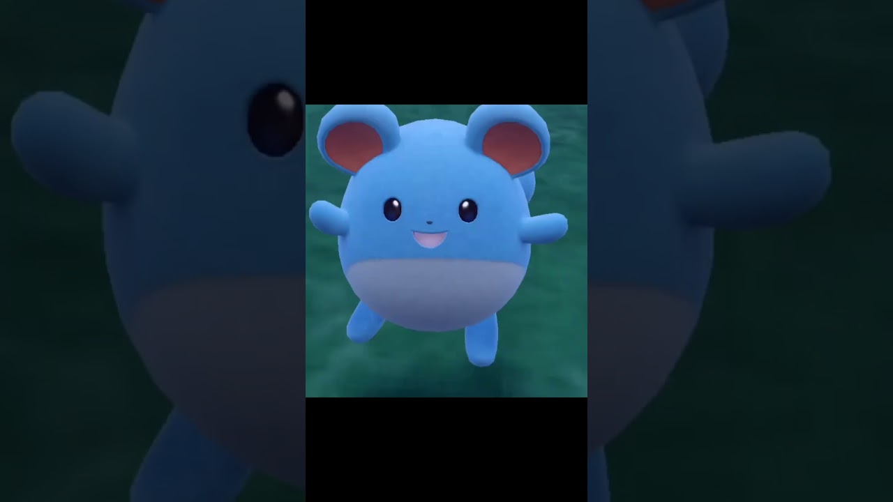 マリルの動きが可愛い　#Shorts