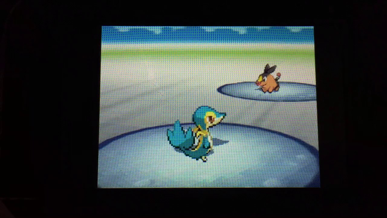 【固定リセット】#16 色違いツタージャGET！