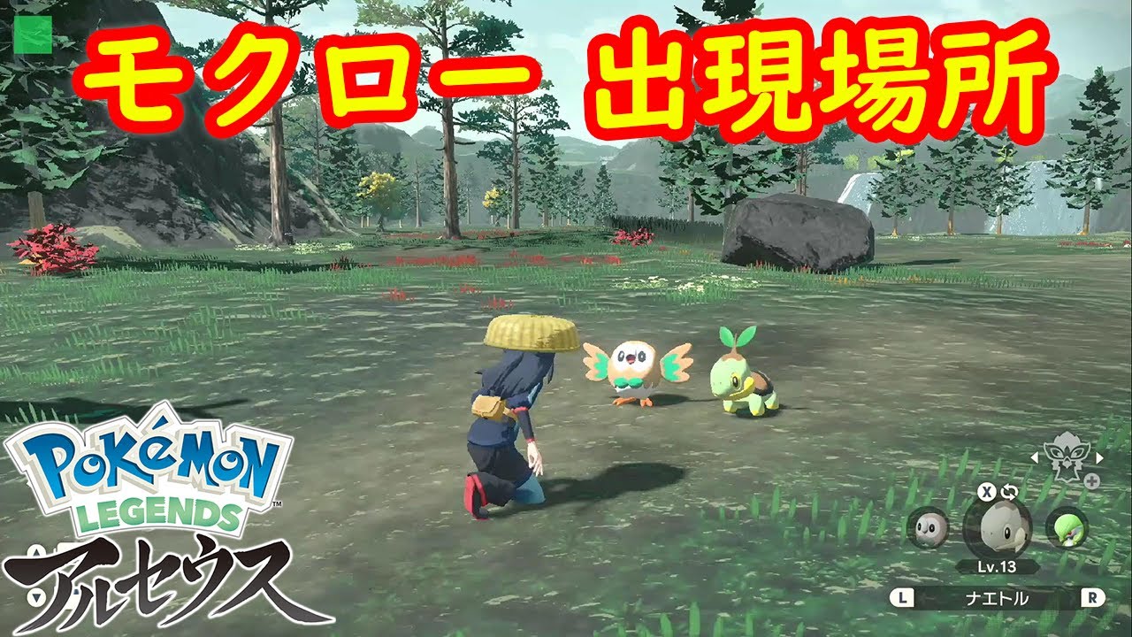 【野生のモクロー】出現場所 入手方法 攻略  【Pokémon LEGENDS アルセウス ポケモン レジェンズ アルセウス】