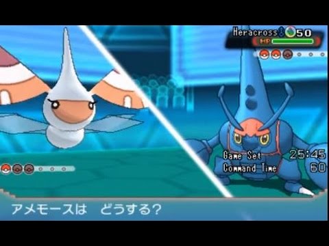 【悲報】アメモース、数値が足りず誰も倒せない。【ポケモンORAS】