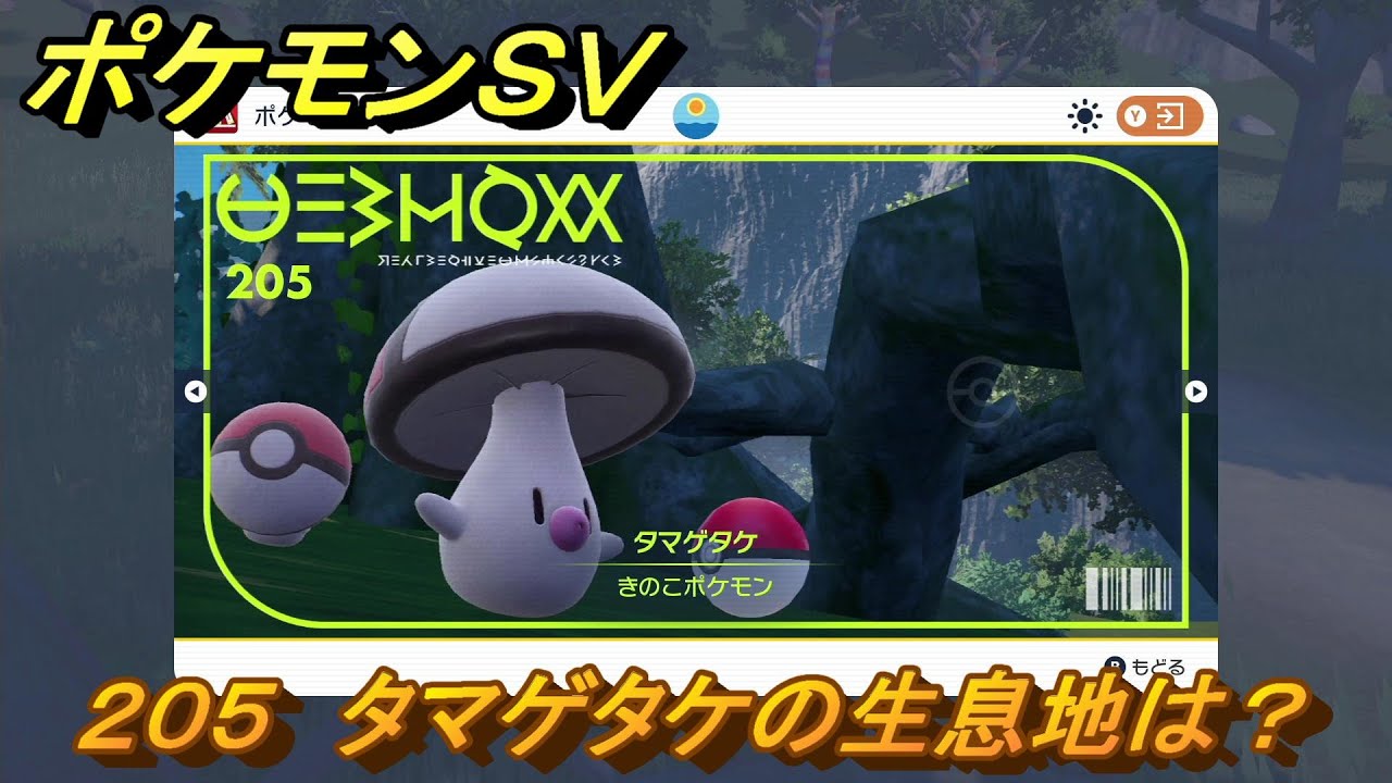 ポケモンＳＶ　タマゲタケの生息地は？図鑑No.２０５　おすすめ場所紹介！ポケモン図鑑を完成させよう！　【ポケモンバイオレット・スカーレット】