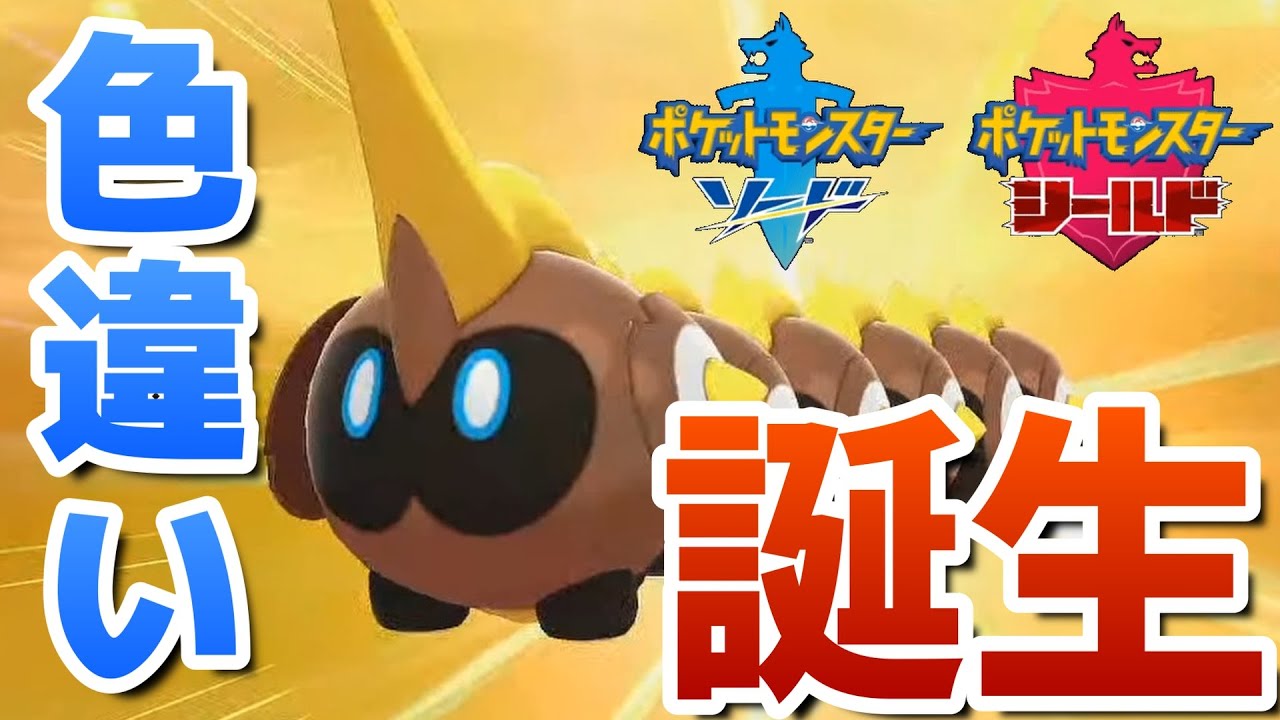 生放送中に色違いタイレーツ誕生!!【ポケモン剣盾】🦕