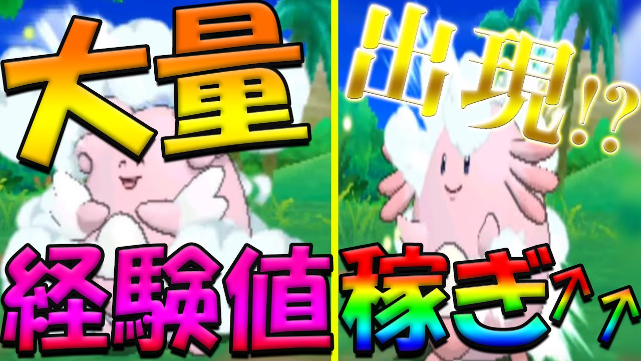 【驚愕】ラッキー・ハピナスで大量経験値↑↑↑【ポケットモンスターウルトラサンウルトラムーン】