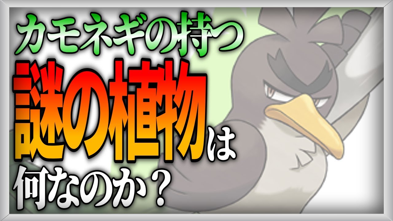 【ポケモン設定考察】カモネギの持つ植物の正体【ゆっくり解説】