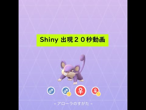 【Pokémon GO】Rarity ”D”＃019 コラッタ ☆shiny☆#Shorts