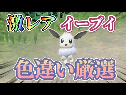 激レア色違いイーブイの入手方法が！？【ポケモンSV】