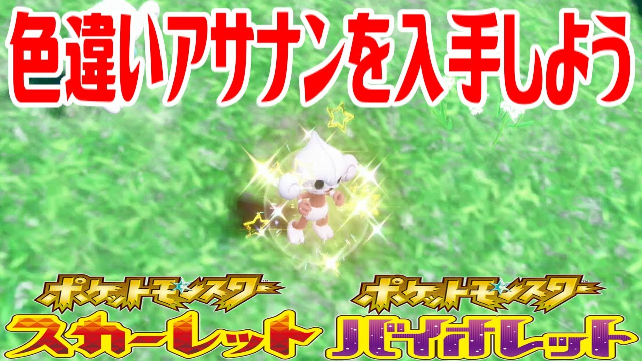 【ポケモンSV】色違いアサナンを入手しよう【ポケットモンスター スカーレット・バイオレット】Pocket Monsters