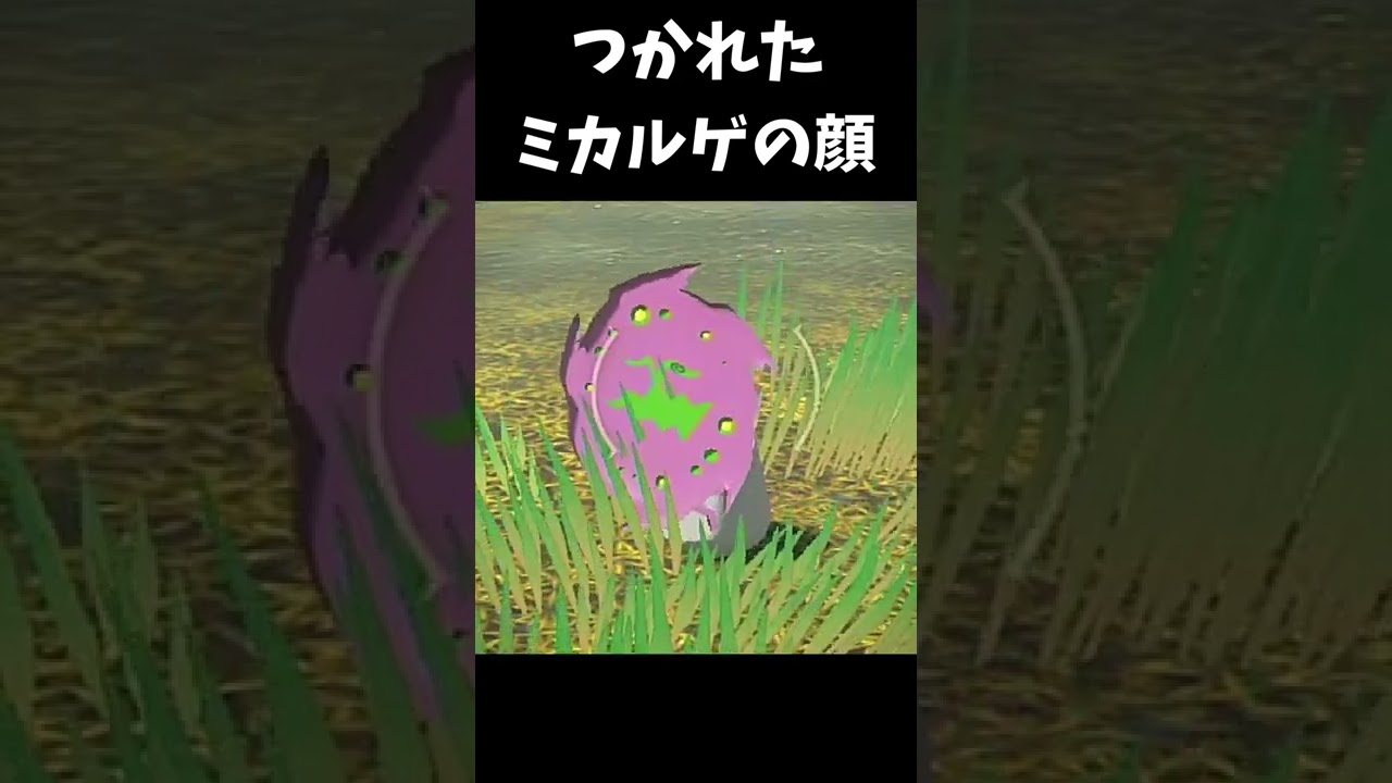 つかれちゃったミカルゲの顔が最高でした。【ポケモンアルセウス】#shorts