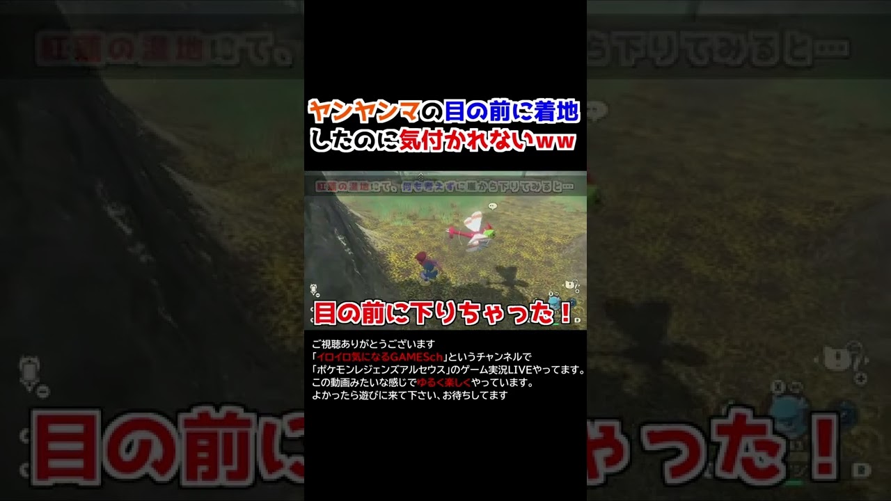 ヤンヤンマの目の前に着地したのに意外と気付かれないｗｗ【Pokémon LEGENDS アルセウス】