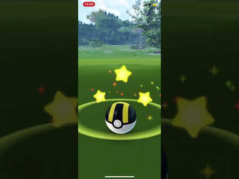 【２体目の色違いコドラ】#Shorts #shiny #pokemongo  #コドラ　#ポケモンgo  #色違い