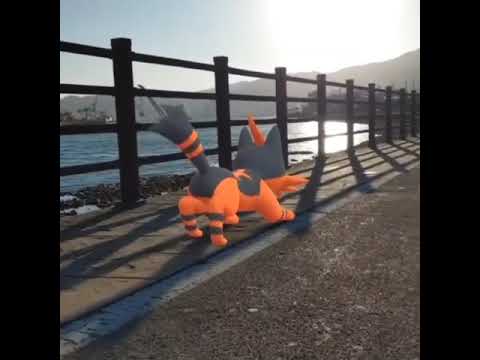 냐오히트 ( Torracat ) ニャヒート ( 炎熱喵 )