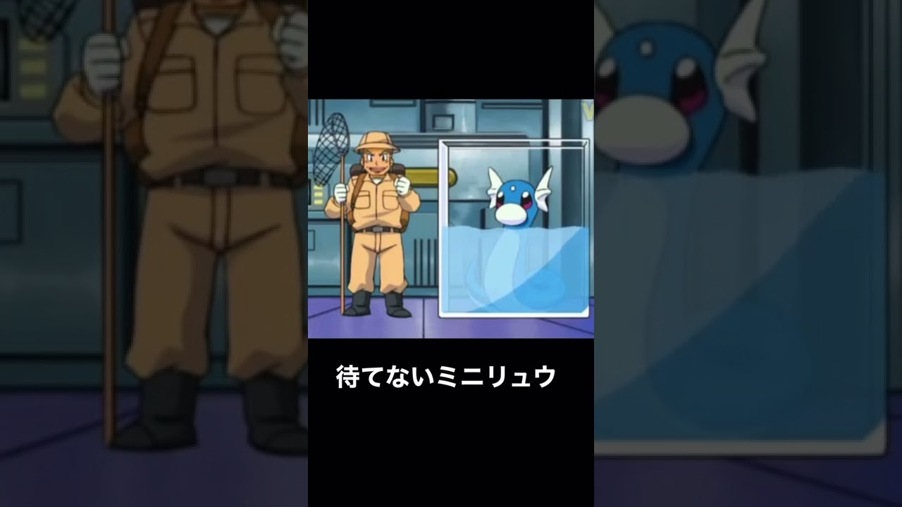 待てないミニリュウ