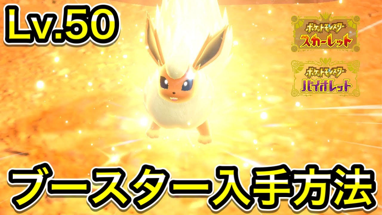 【ポケモンSV】ブースターの入手方法！野生テラスタルの出現場所【ブイズ】