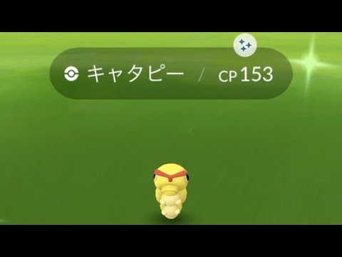ポケモンGO  キャタピー色違い