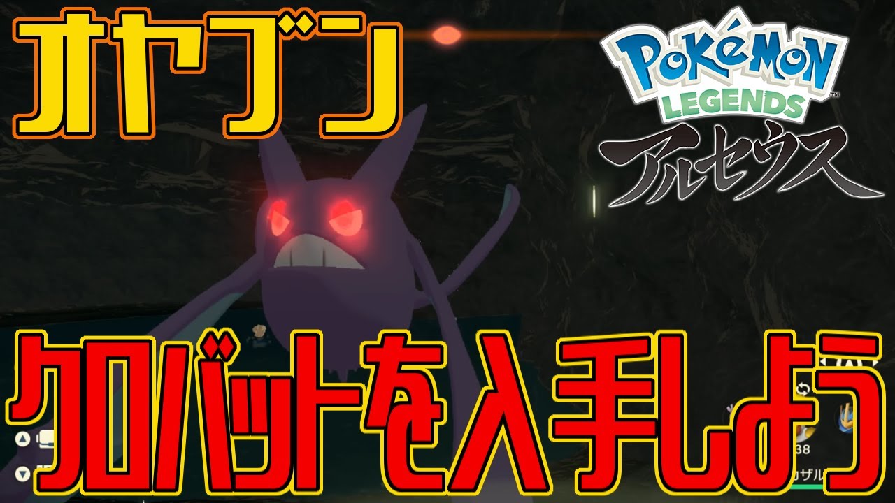 【ポケモンアルセウス】オヤブンのクロバットを入手しよう【Pokémon LEGENDS アルセウス】