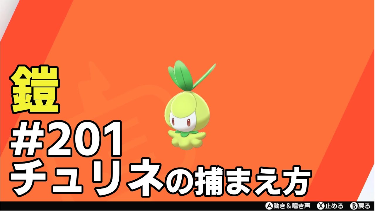 チュリネを探している方に見てほしい動画