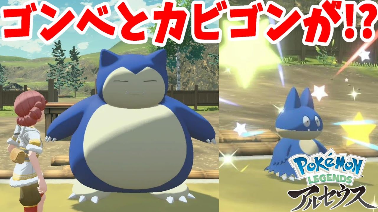 ゴンベがこれでカビゴンは！？大人気のゆるキャラ系ポケモンのお相手は！？【ポケモンレジェンズアルセウス】