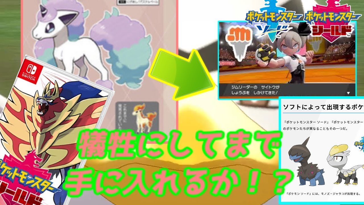 ガラルポニータまでの辛い道をエロいカイオーガが教えてやる！【ポケモン剣盾最新情報