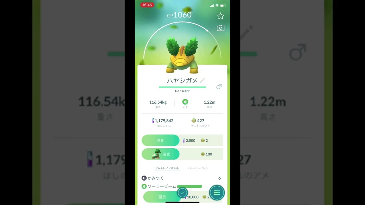 ポケモンGOでハヤシガメのゲットチャレンジ！ #Shorts