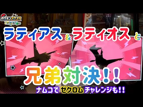 〔メザスタ〕ナムコでゼクロムチャレンジ！！スーパースターのラティオス、ラティアスが！！