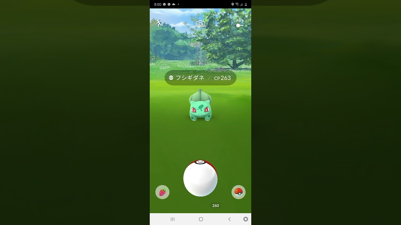 フシギダネがダネダネするだけ