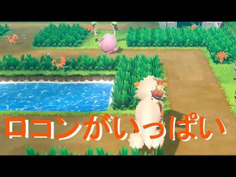 【ポケモン ピカブイ】#1 色違いキュウコン（ロコン）を捕まえたい