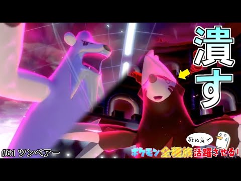ドリュウズを狩る！知られざるエース、ツンベアーの真価！【ポケットモンスター ソード・シールド/剣盾】