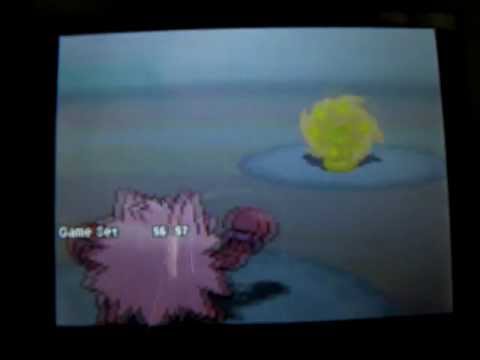 ポケモンBW猿パーティー