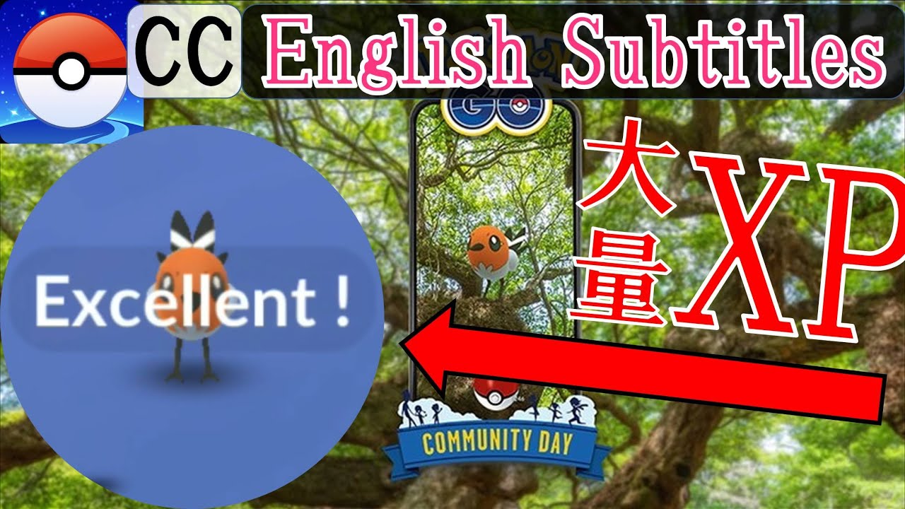 レジェンドシーズンが始まるので重要な直近のイベントまとめ～ヤヤコマで一気にXPを稼ごう！