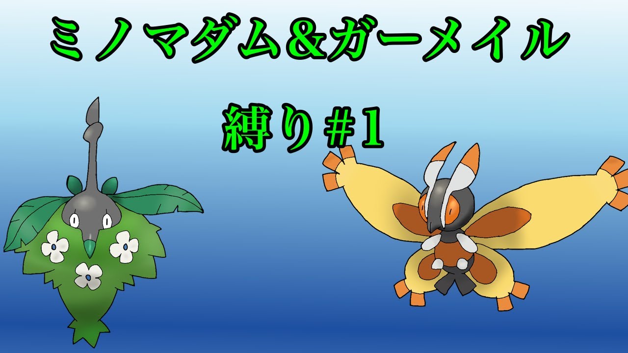 雌雄異株　BDSPミノマダム＆ガーメイル縛り＃１