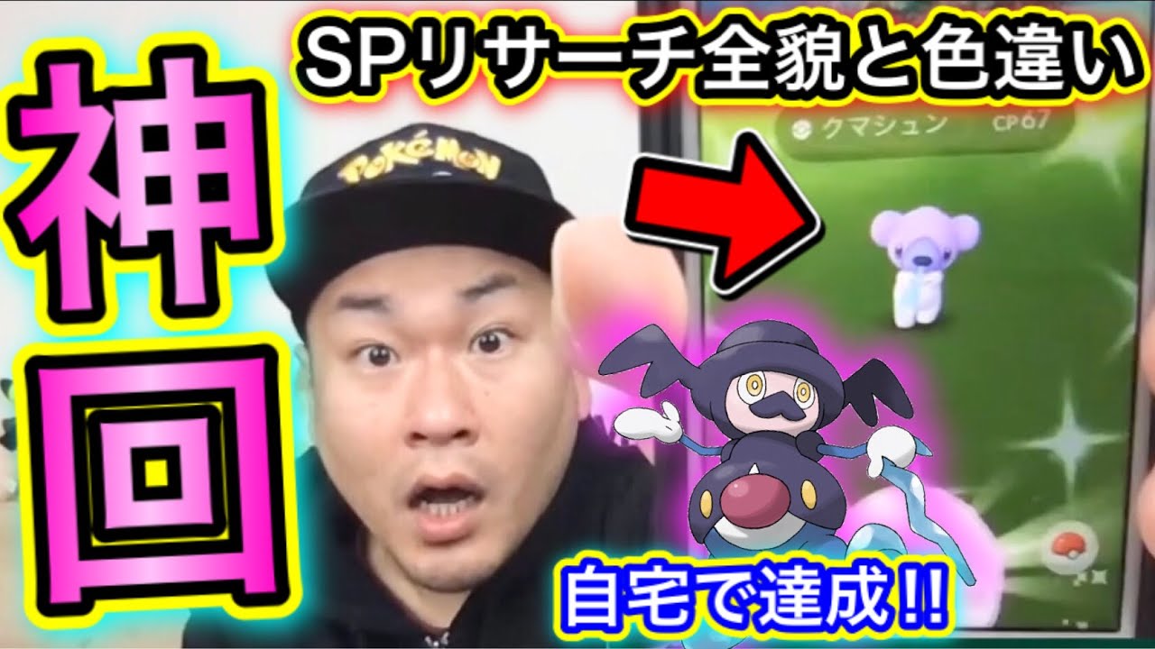 検証！自宅ポケ活でガラルバリヤードSPリサーチは完遂可能！？【ポケモンGO】