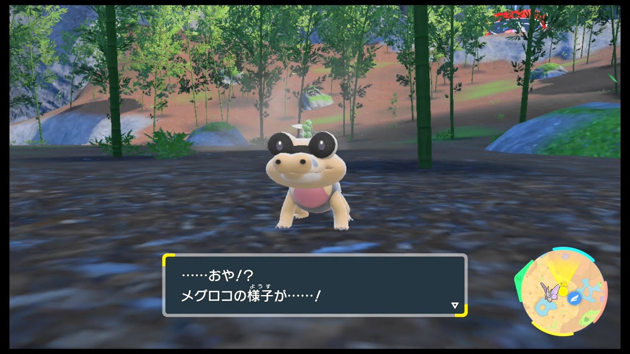 SVのポケモン　メグロコ レベル29の進化