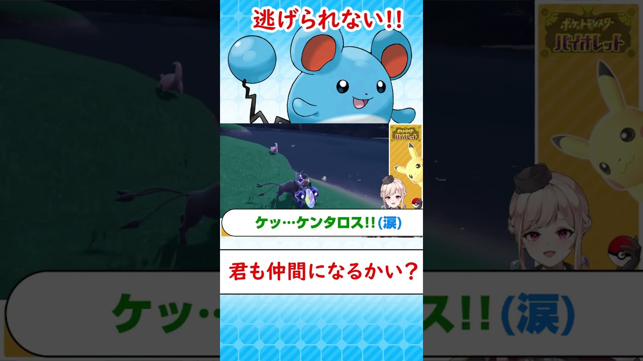 【逃げられない!!】野生のマリルは大気圏まで飛び跳ねる【ポケモンSV】 #shorts