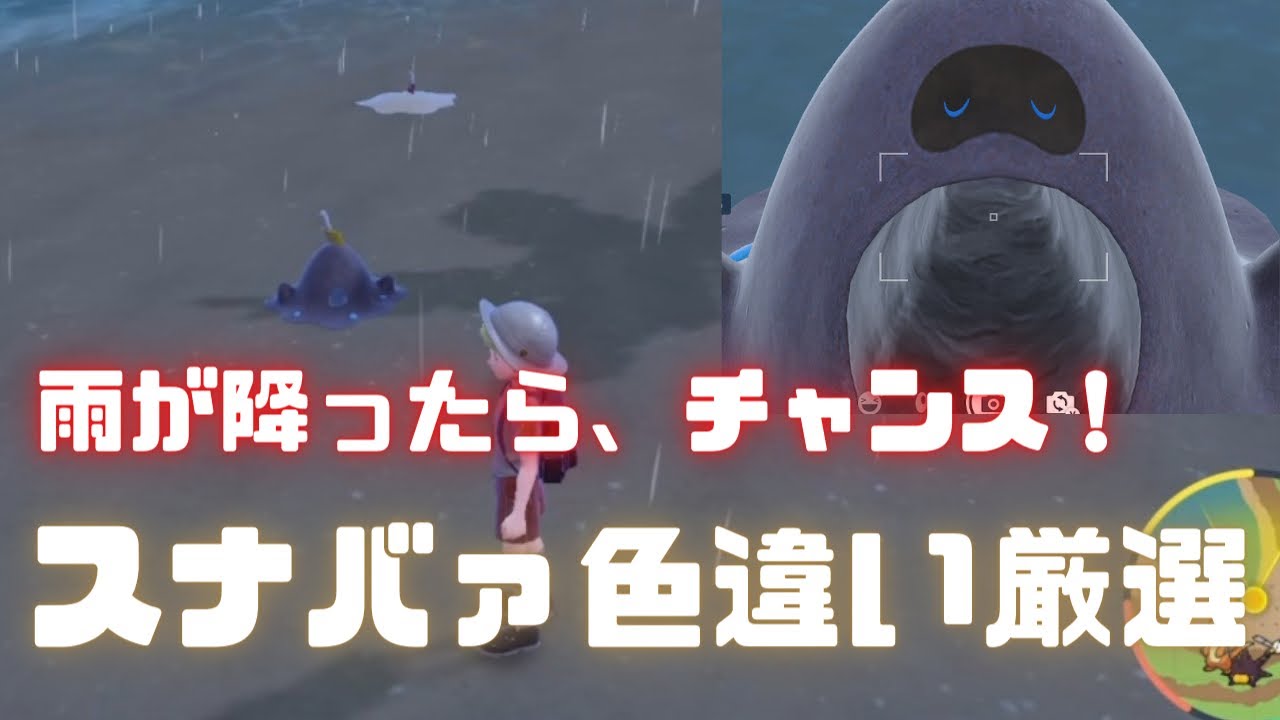 【ポケモンSV】雨が降ったら激アツ！スナバァの効率のいい色違い厳選を解説！