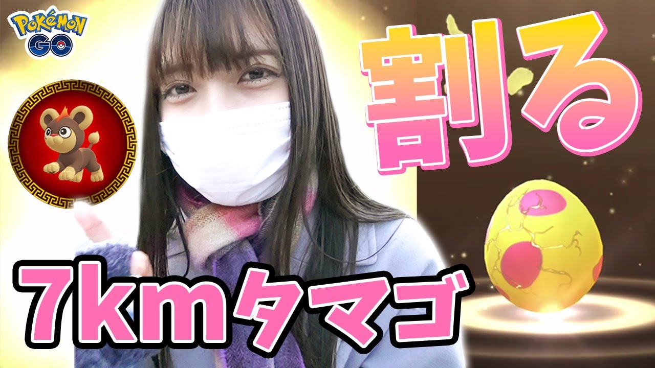 旧正月イベント7kmタマゴ19連！色違いシシコ新実装！