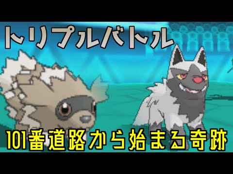 【トリプルバトル】ポチエナの相方を考えたらジグザグマが適任でした。