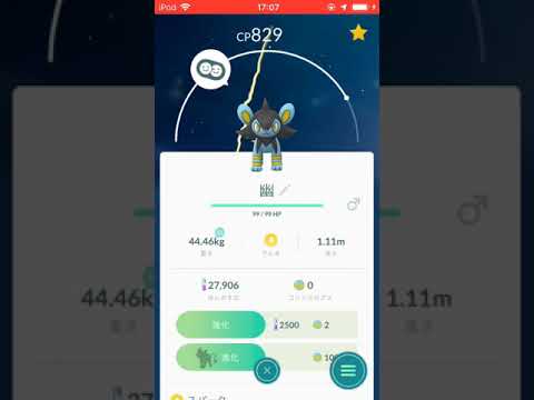 ポケモンGO ルクシオ Evolution
