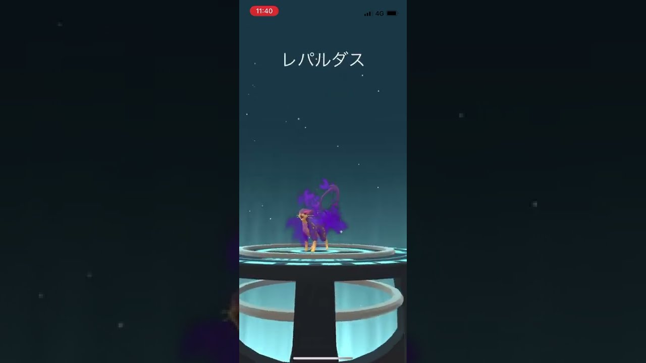 ポケモンgo シャドウチョロネコ　ゲットチャレンジ　シャドウレパルダスに進化させてみた