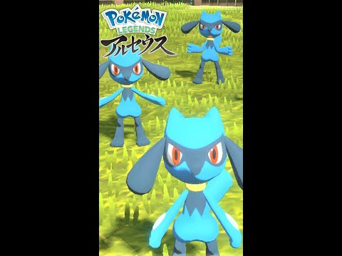 【疲れた人向け】リオル見て癒されよう【ポケモンレジェンズアルセウス】#Shorts