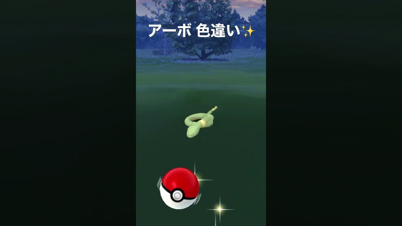 アーボ 色違い✨