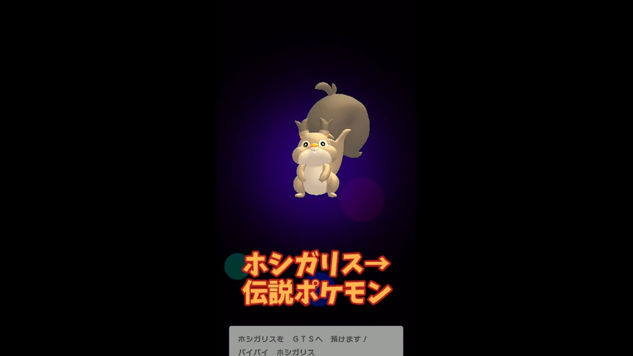 30秒後伝説になるホシガリス　#Shorts